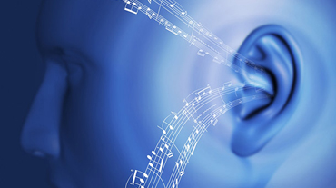 t-ear ΑΝΔΡΟΜΑΧΗ ΤΖΕΛΗ